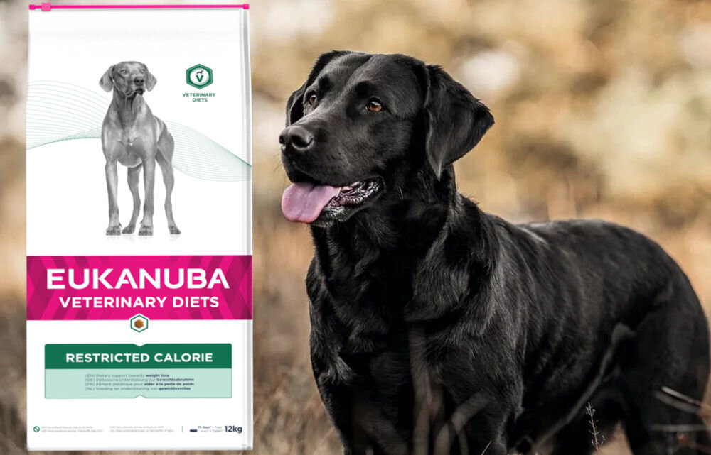 Karma dla psa EUKANUBA Veterinary Diets Restricted Calorie Kurczak 5 kg dawkowanie analiza sklad