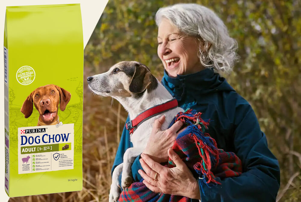 Karma dla psa PURINA Dog Chow Adult z Jagnięciną 14 kg sklad analiza