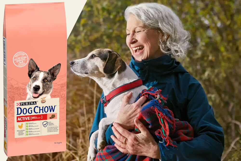 Karma dla psa PURINA Dog Chow Active z Kurczakiem 14 kg sklad analiza