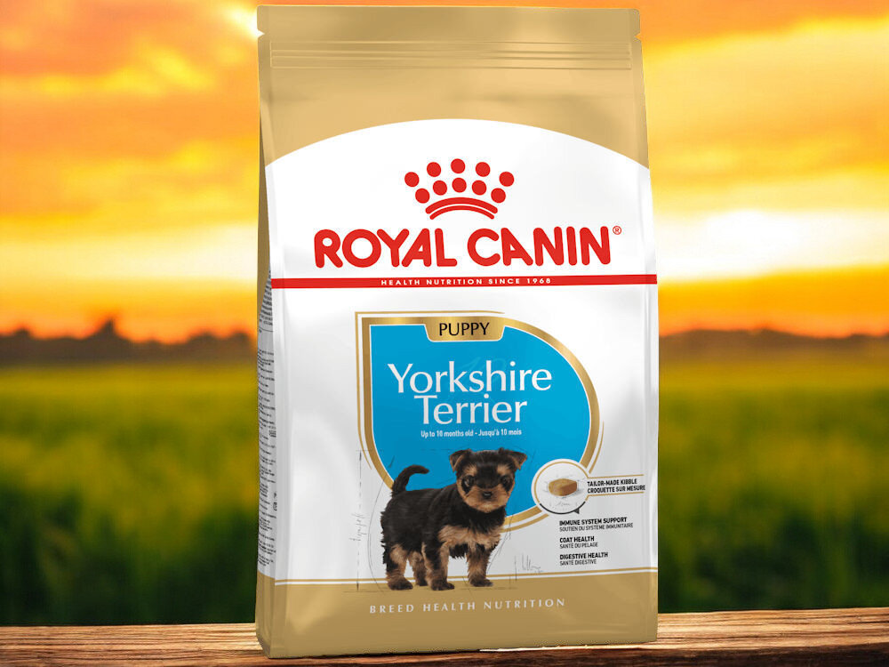 Karma dla psa ROYAL CANIN Yorkshire Terrier Puppy 500 g naturalne składniki opakowanie na tle łąki