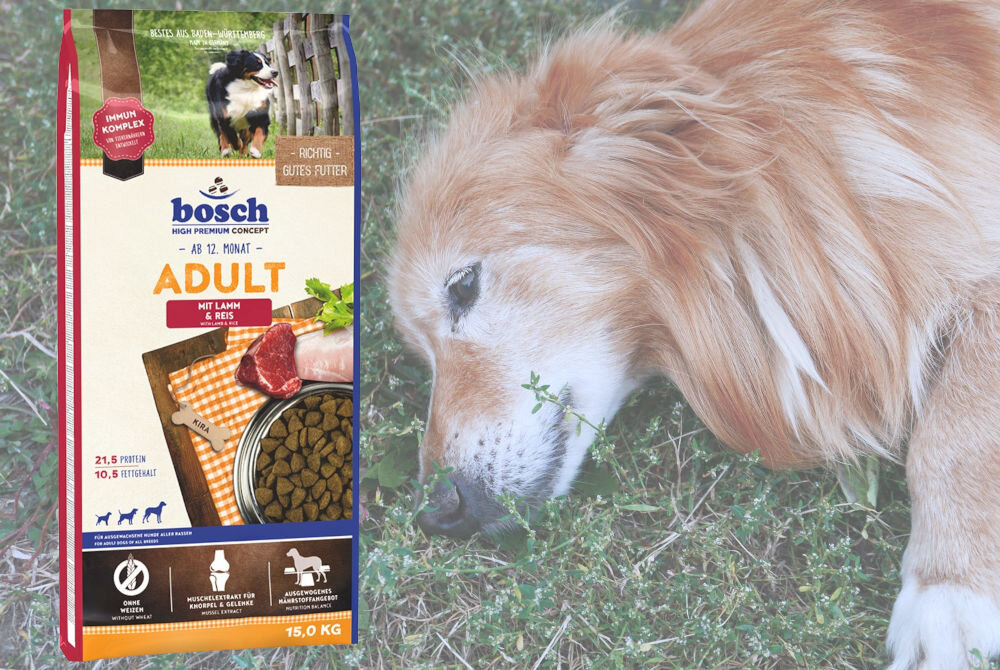 Karma dla psa BOSCH Adult Jagnięcina z ryżem 15 kg dodatki witaminy minerały