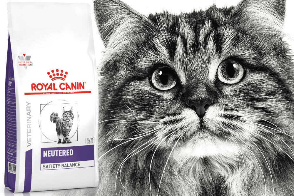 Karma dla kota ROYAL CANIN Neutered Satiety Balance 1,5 kg naturalne składniki