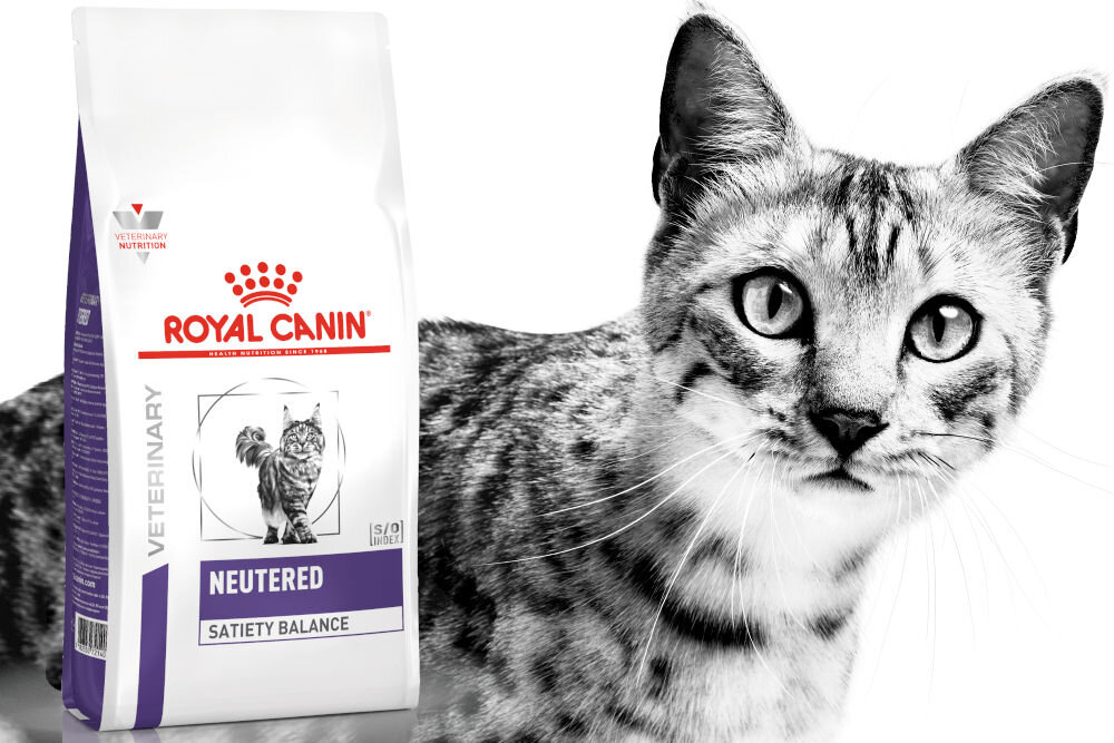 Karma dla kota ROYAL CANIN Neutered Satiety Balance 1,5 kg witaminy pierwiastki aminokwasy