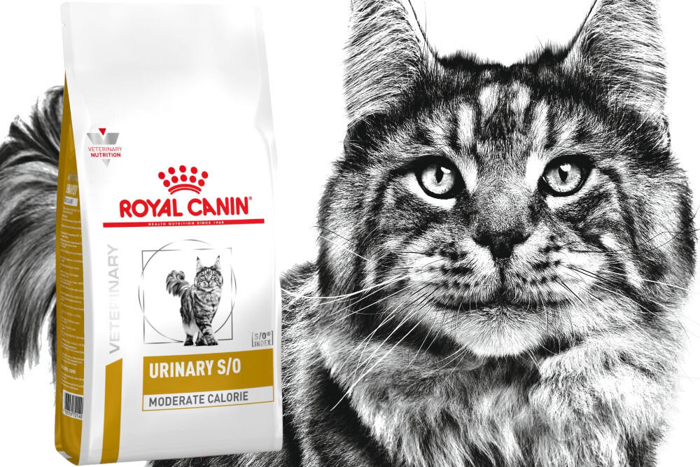 Karma dla kota ROYAL CANIN Urinary S/O Moderate Calorie 1,5 kg dawkowanie analiza sklad