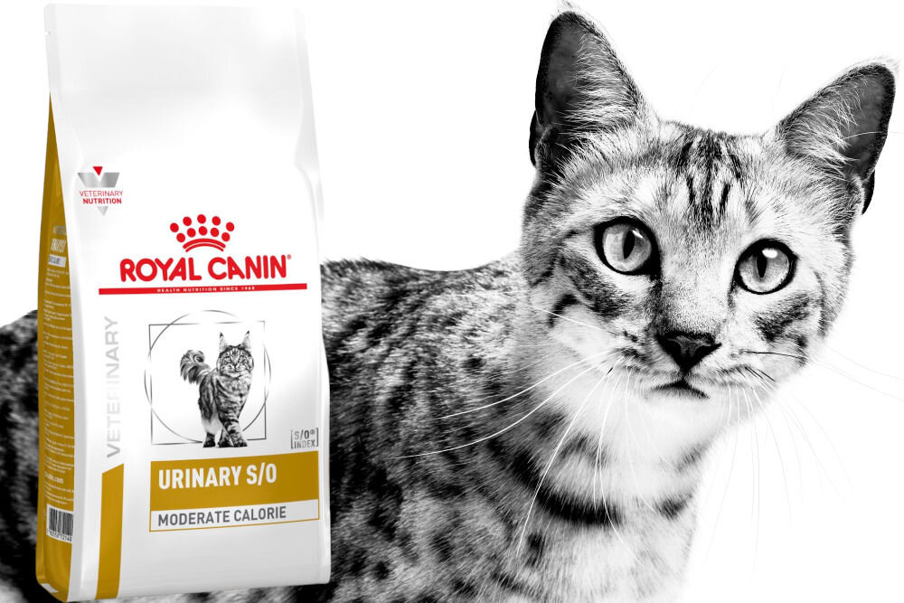 Karma dla kota ROYAL CANIN Urinary S/O Moderate Calorie 1,5 kg witaminy pierwiastki aminokwasy