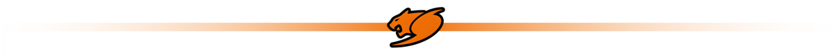 Logo przedstawia pomarańczowego puma na tle pomarańczowej linii, która stopniowo zanika po obu stronach.