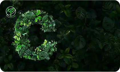 Obraz przedstawia literę \'C\' uformowaną z zielonych liści na tle ciemnozielonych roślin. W lewym górnym rogu znajduje się logo z zielonym symbolem liścia i napisem \'ECOLOGICAL\'.