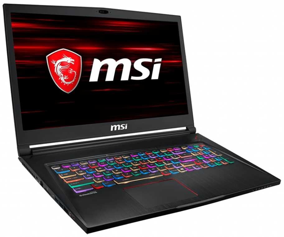 Monitor MSI GS73 Stealth - Karta Graficzna