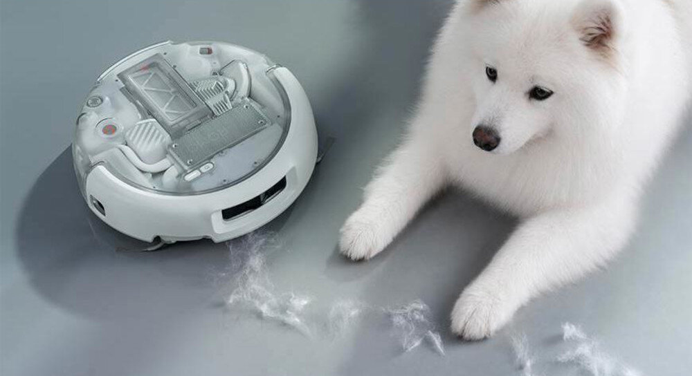 Na podłodze znajduje się biały robot sprzątający obok białego psa. Wokół robota widoczne są kępki sierści.
