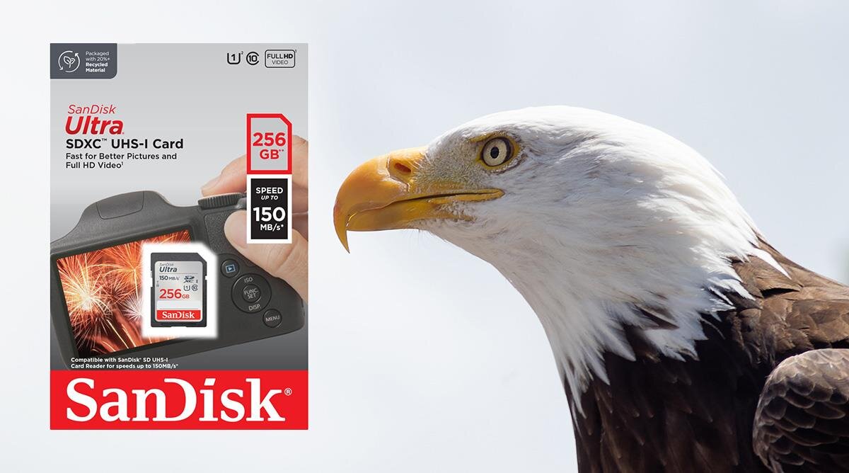 Po lewej stronie znajduje się opakowanie karty pamięci z napisem \'SanDisk Ultra 256GB SDXC UHS-I Card\', a po prawej widoczna jest głowa bielika amerykańskiego na jasnym tle.