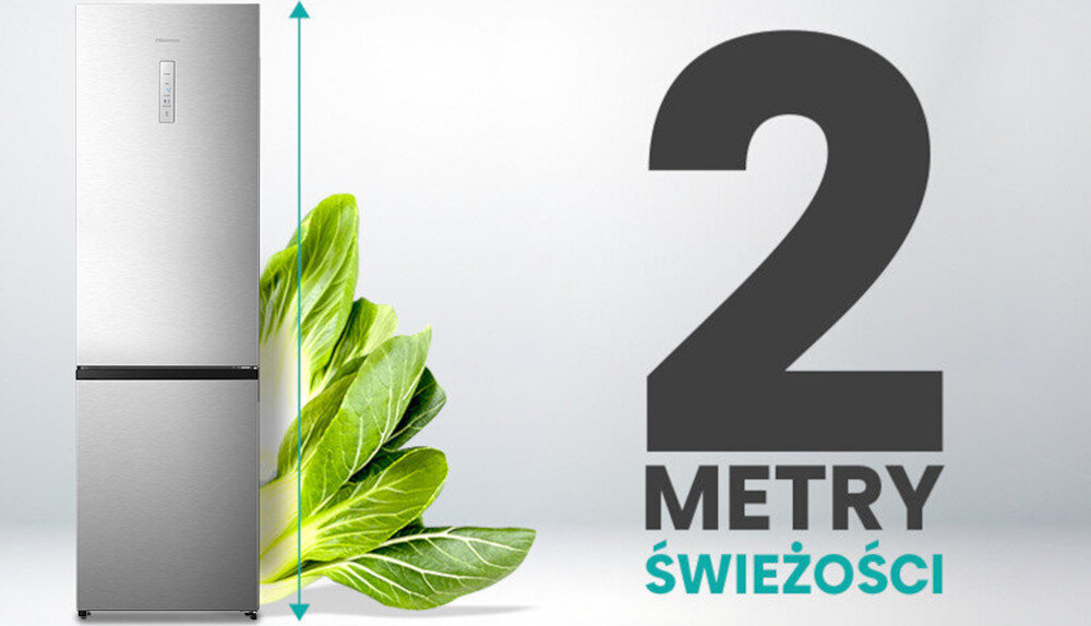 Obraz przedstawia srebrną lodówkę obok zielonych liści oraz napis \'2 METRY ŚWIEŻOŚCI\'.
