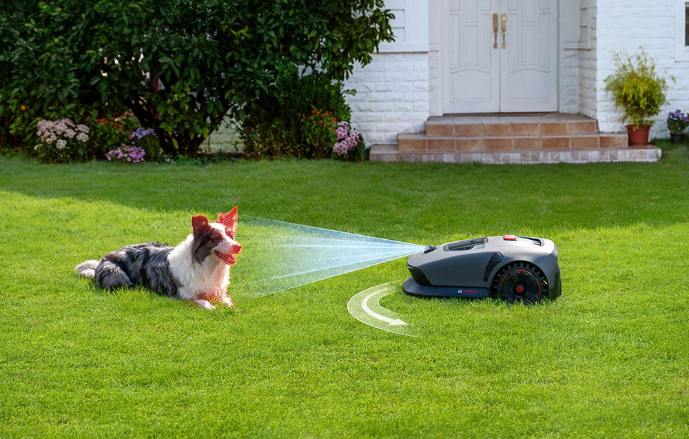 Na trawniku znajduje się robot koszący oraz pies. Robot emituje niebieskie światło w kierunku psa, a w tle widoczny jest dom z białymi drzwiami.