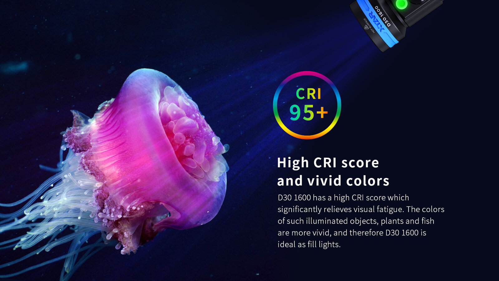 Obraz przedstawia meduzę o intensywnych kolorach, oświetloną światłem latarki. Obok znajduje się tekst: \'CRI 95+ High CRI score and vivid colors D30 1600 has a high CRI score which significantly relieves visual fatigue. The colors of such illuminated objects, plants and fish are more vivid, and therefore D30 1600 is ideal as fill lights.\'