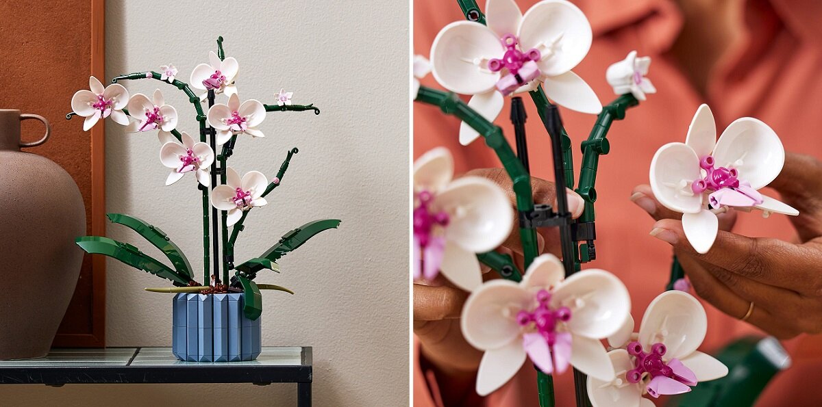 Na obrazie widoczny jest zestaw LEGO przedstawiający orchideę w doniczce, z białymi kwiatami i zielonymi łodygami. Obok znajduje się osoba trzymająca elementy zestawu, ukazując szczegóły konstrukcji.