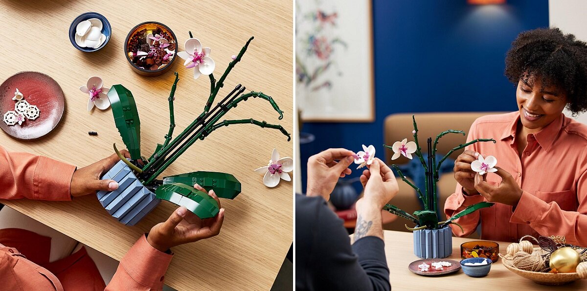 Dwie osoby składają zestaw LEGO przedstawiający orchideę w niebieskiej doniczce. Na stole znajdują się elementy zestawu oraz miseczki z częściami LEGO.