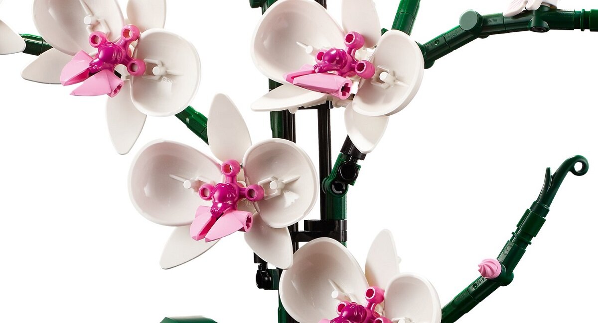 Na obrazie widoczne są kwiaty orchidei zbudowane z klocków LEGO, z białymi płatkami i różowymi elementami w środku. Kwiaty są umieszczone na zielonych łodygach.