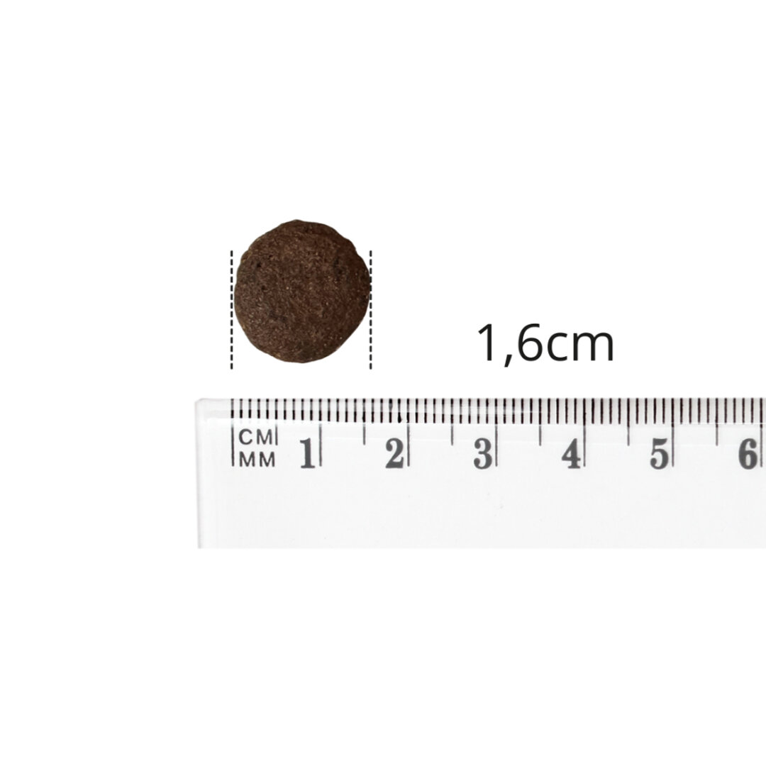 Na obrazie widoczna jest brązowa granulka karmy o średnicy 1,6 cm, obok której znajduje się linijka z podziałką centymetrową i milimetrową.