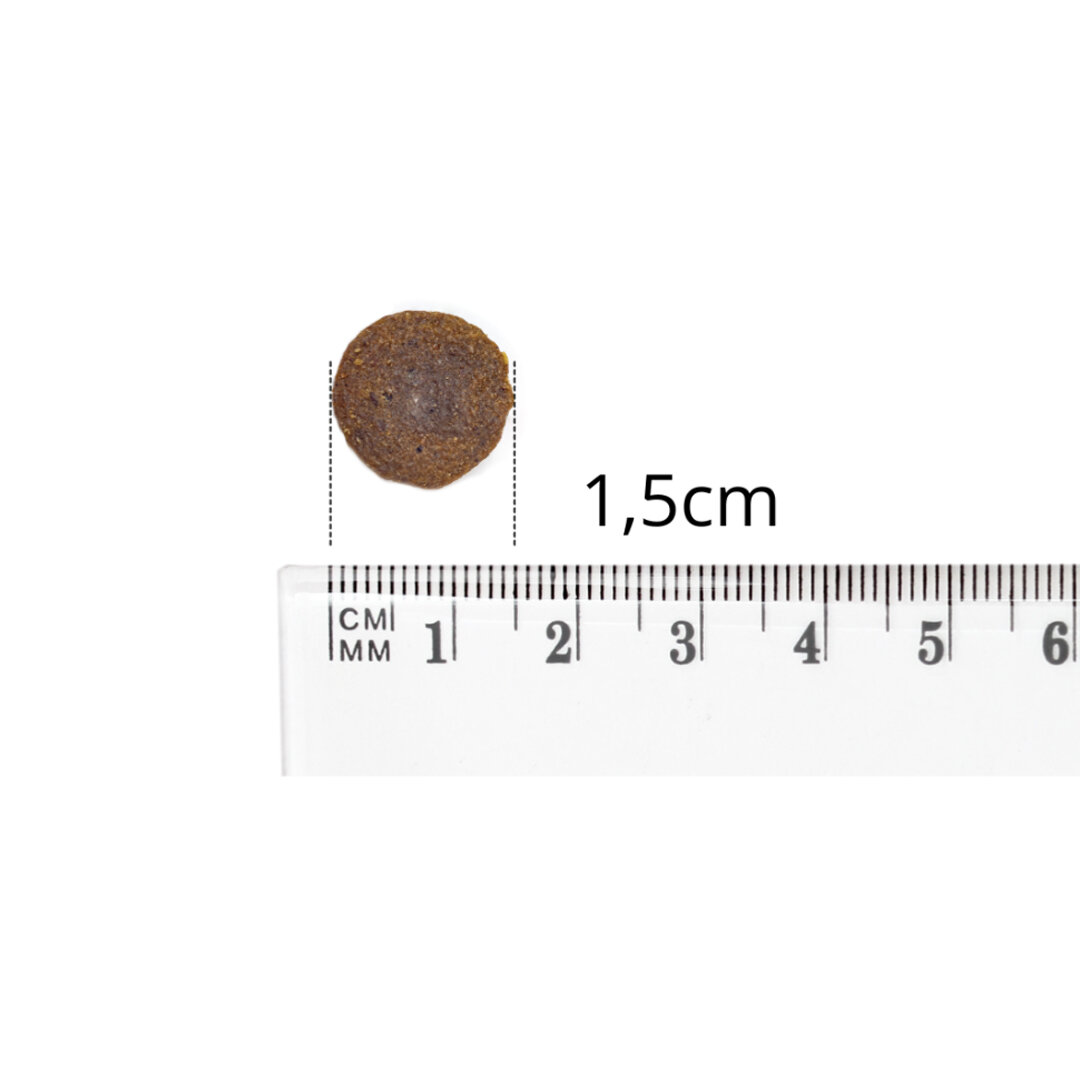 Na białym tle znajduje się okrągły kawałek suchej karmy o średnicy 1,5 cm, obok którego leży linijka z podziałką centymetrową.