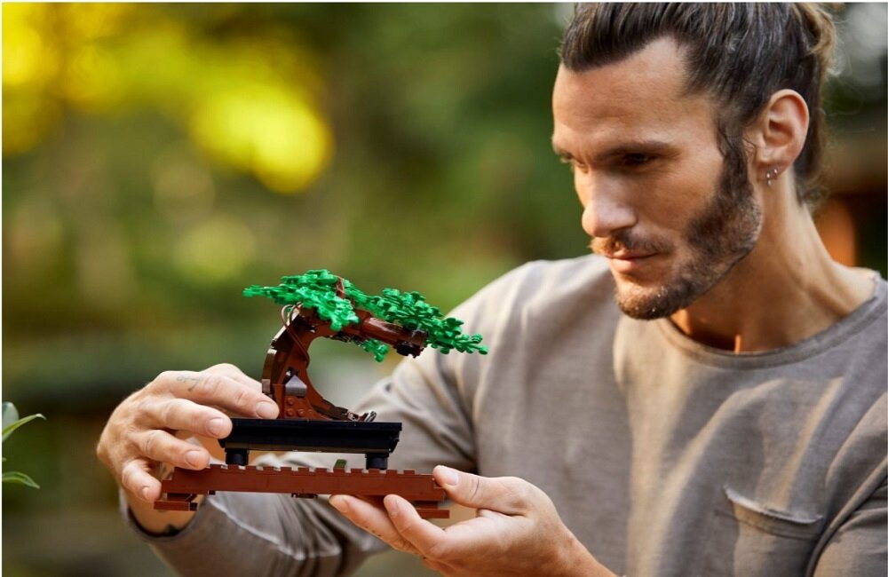 Osoba trzyma model drzewka bonsai z klocków LEGO. W tle widoczna jest rozmyta zieleń.