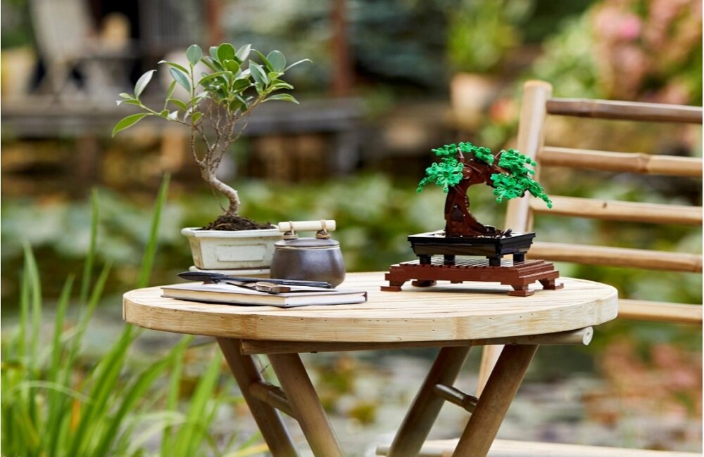Na okrągłym drewnianym stoliku znajdują się dwie doniczki z drzewkami bonsai oraz mały czajnik. W tle widoczny jest ogród z roślinnością i wodą.