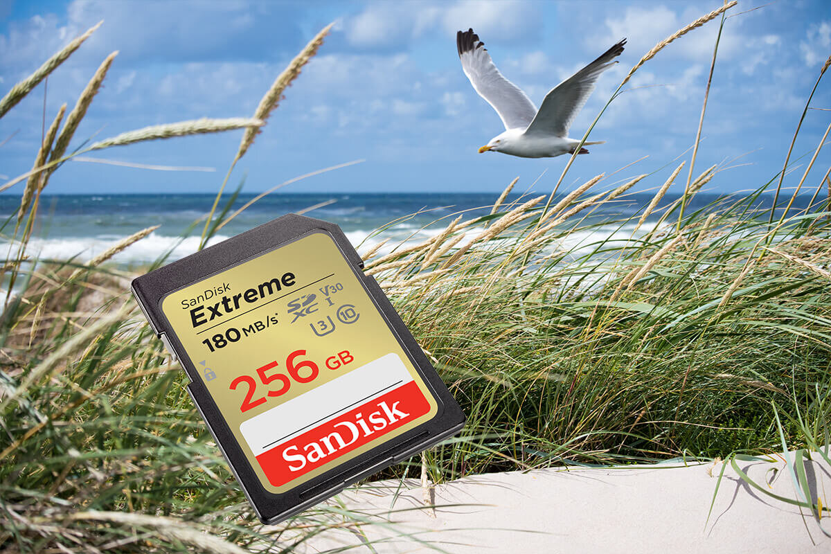 Na obrazie widoczna jest karta pamięci z napisem \'SanDisk Extreme 180 MB/s 256 GB\'. W tle znajduje się plaża z trawami i mewą w locie.