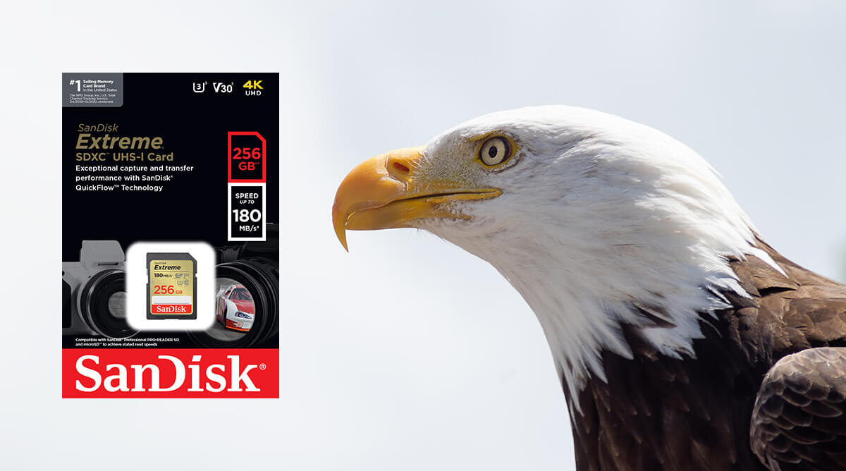 Po lewej stronie widoczna jest karta pamięci SanDisk Extreme SDXC UHS-I 256GB z prędkością 180 MB/s, a po prawej głowa orła na jasnym tle.