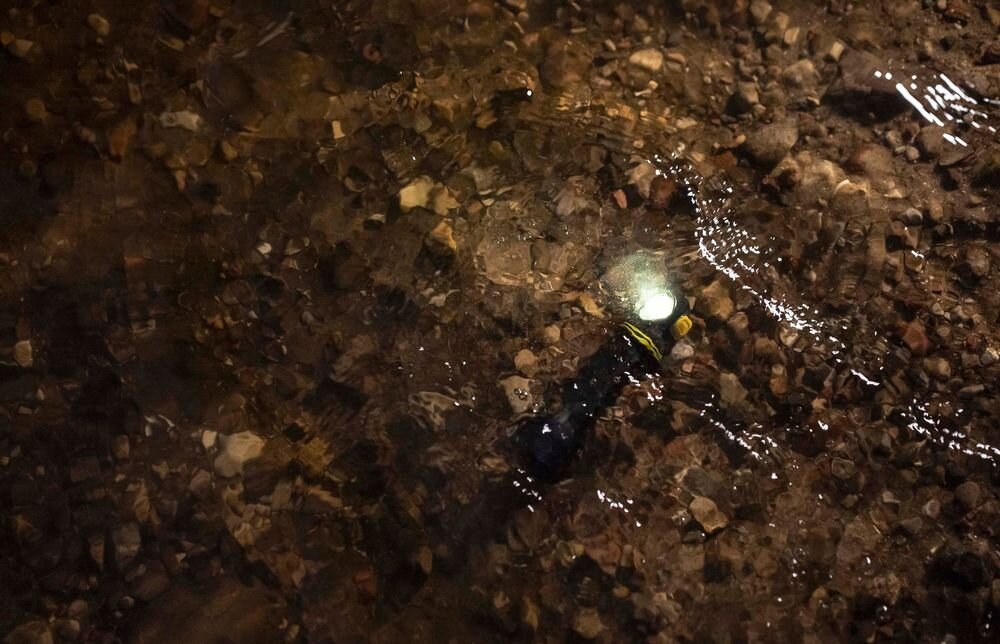 Latarka ARMYTEK F10702PC Elf C2 Max LR Czarny, szczelność, wodoodporność, obudowa, ochrona, Latarka kątowa zanurzona w płytkim, przejrzystym strumieniu wodnym na kamienistym dnie.