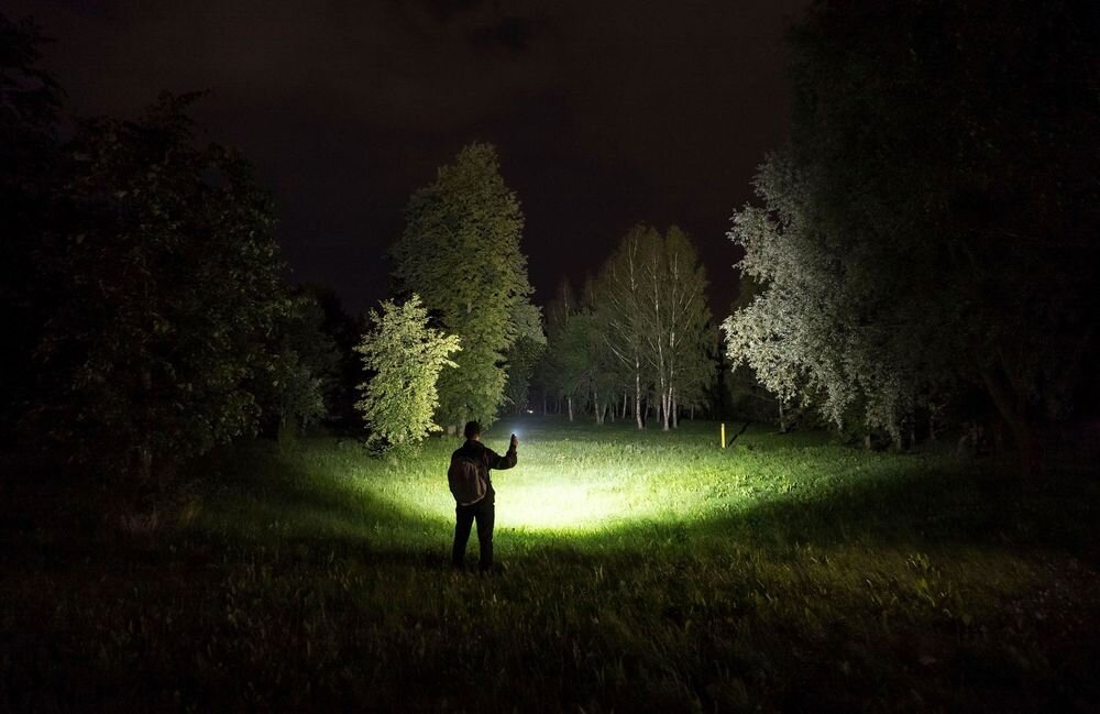 Latarka ARMYTEK F10702PC Elf C2 Max LR Czarny, reflektor, optyka, jasność, dioda, Osoba stojąca nocą na polanie, oświetlająca latarką trawiasty teren oraz rosnące wokół drzewa.