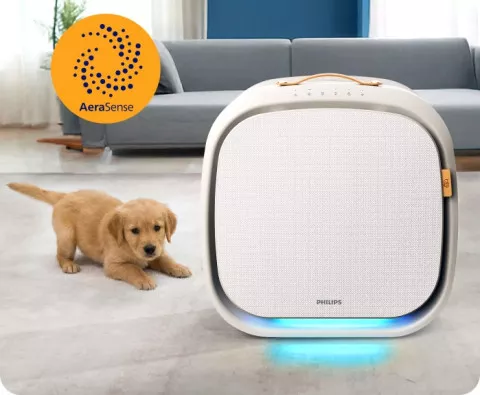 Na podłodze w pomieszczeniu znajduje się oczyszczacz powietrza z widocznym logo \'PHILIPS\' oraz niebieskim podświetleniem u dołu. Obok leży mały, jasny pies, a w tle widać kanapę i okno; w lewym górnym rogu znajduje się logo \'AeraSense\'.