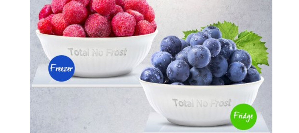 Na obrazie znajdują się dwie miski z owocami, jedna z czerwonymi malinami i druga z niebieskimi winogronami, obie z napisem \'Total No Frost\'. Obok misek znajdują się etykiety: niebieska z napisem \'Freezer\' i zielona z napisem \'Fridge\'.