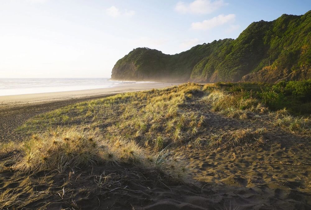 Obraz przedstawia piaszczystą plażę z wydmami porośniętymi trawą, obok której znajduje się zalesiony klif. W tle widać ocean i jasne niebo z kilkoma chmurami.