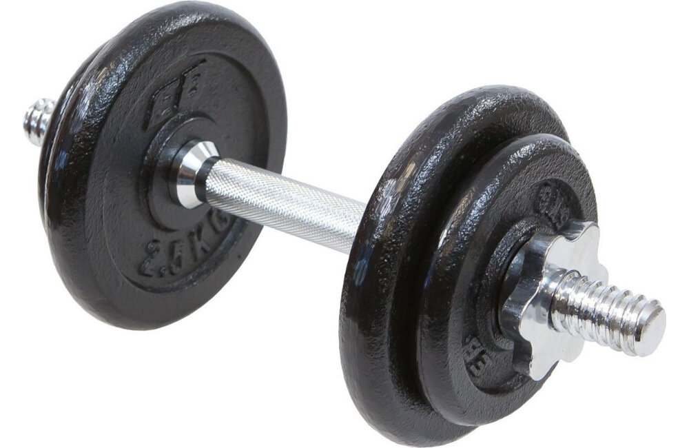 Hantla EB FIT z walizką (10 kg) zastosowanie ćwiczenia zdrowie partie ciała tkanka mięśniowa pozycje 