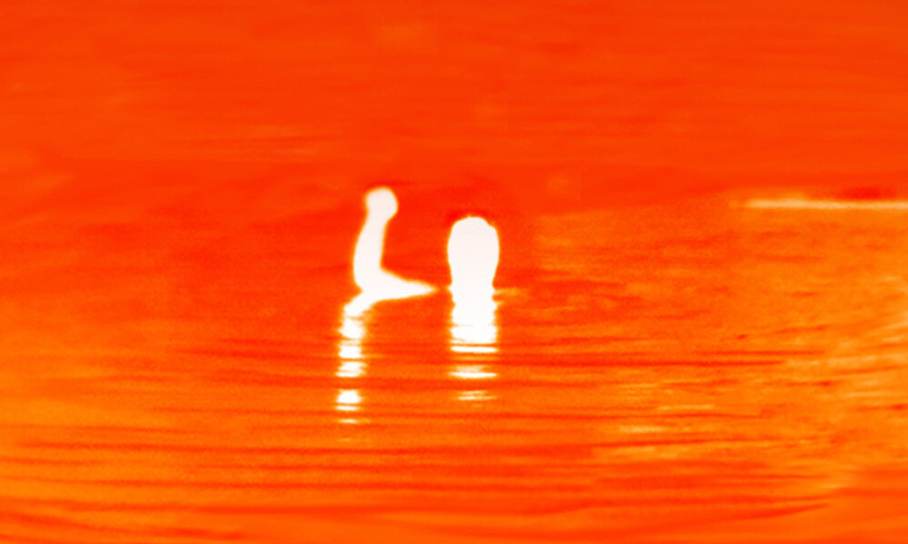 Kamera termowizyjna SEEK THERMAL Reveal Pro (RQ-EAA) parametry czujnik czułość rozdzielczość zakres technologie płynność