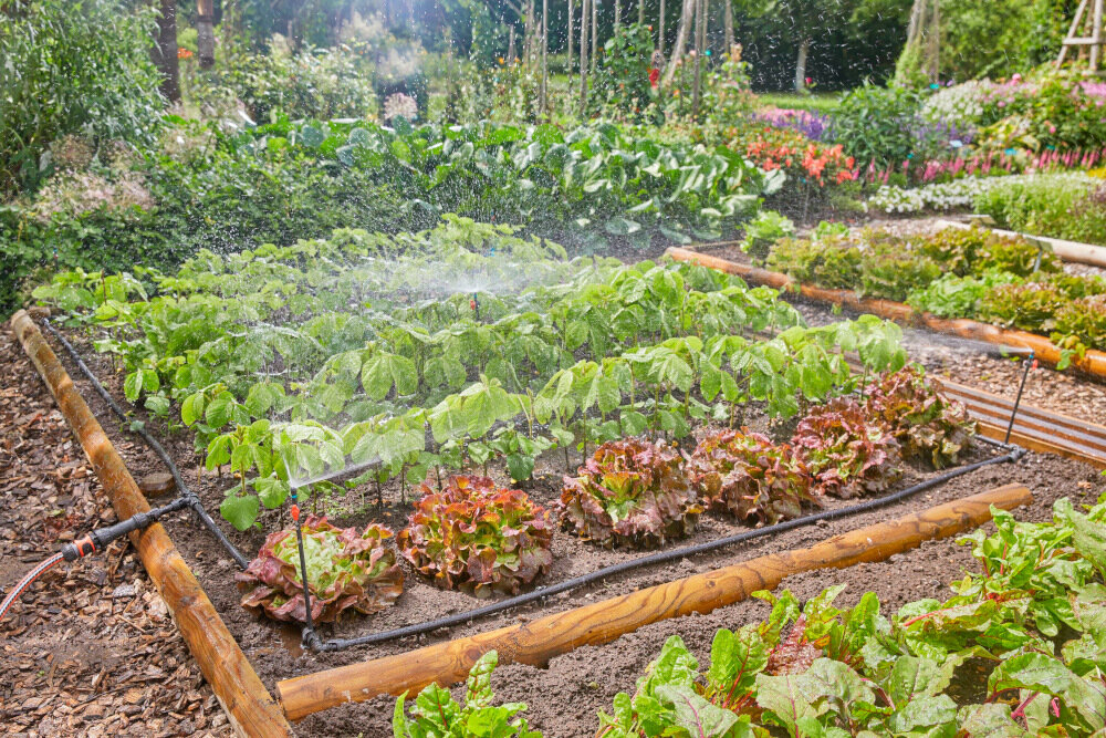 Zestaw do nawadniania GARDENA Micro-Drip-System 13015-20 podstawowy zestaw do nawadniania grządek i rabat