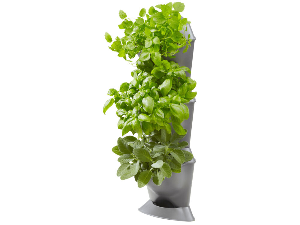 Ogród wertykalny GARDENA NatureUp 13153-20 doniczka na białym tle wypełniona ziołami 
