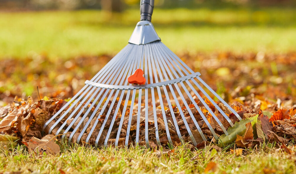 Grabie GARDENA 3103-20 do liści do usuwania lisci skoszonej trawy mchu do zgrabiania odpadkow ogrodowych do wertykulacji trawnika poprawa kondycji trawy lepszy dostep do powietrza i wody