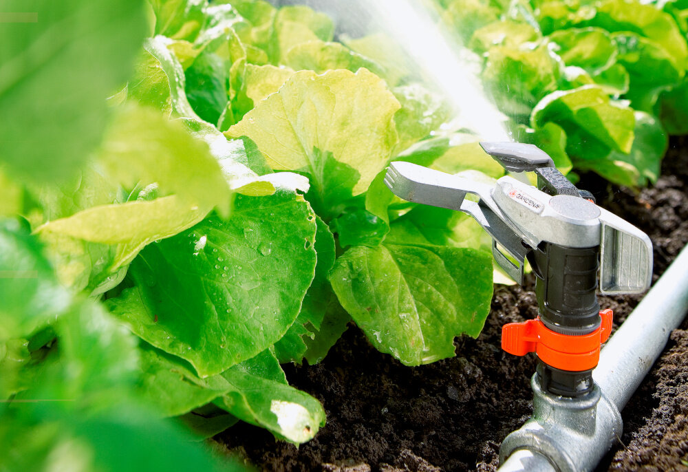 Zraszacz GARDENA 8137-20 ogród grządki warzyw zraszacz umieszczony na rurze rozprowadza wodę na rośliny wydajne nawadnianie skuteczne podlewanie ogrodu równomierne nawodnienie