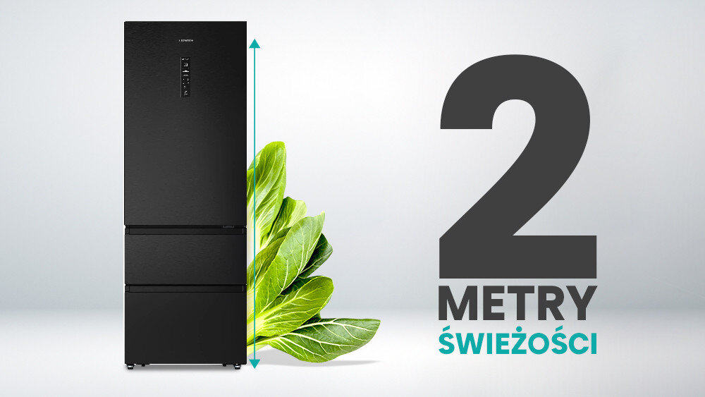 Czarna lodówka z trzema drzwiami stoi obok zielonych liści. Obok niej widnieje napis \'2 METRY ŚWIEŻOŚCI\'.
