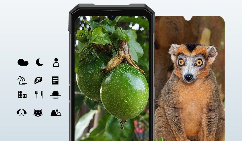 Obraz przedstawia smartfon z wyświetlaczem pokazującym dwa zielone owoce na tle liści. Obok telefonu znajduje się zdjęcie zwierzęcia o dużych oczach i puszystym futrze.