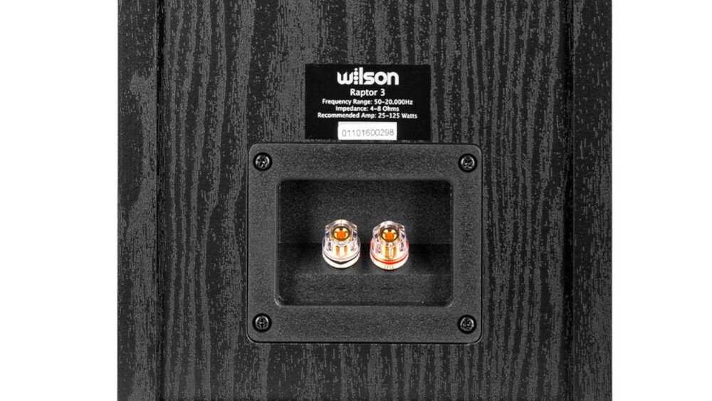 Kolumna głośnikowa WILSON Raptor 3  - bass