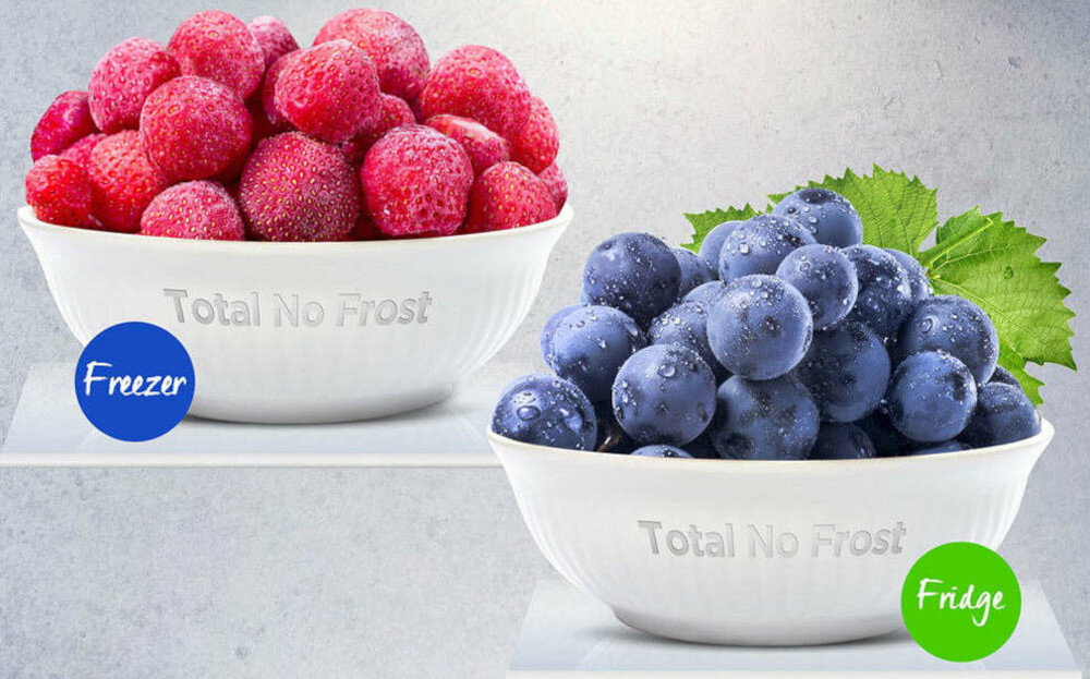 Na obrazie znajdują się dwie miski z owocami, jedna z czerwonymi malinami i druga z niebieskimi jagodami, obie z napisem \'Total No Frost\'. Obok misek znajdują się kolorowe kółka z napisami \'Freezer\' i \'Fridge\'.