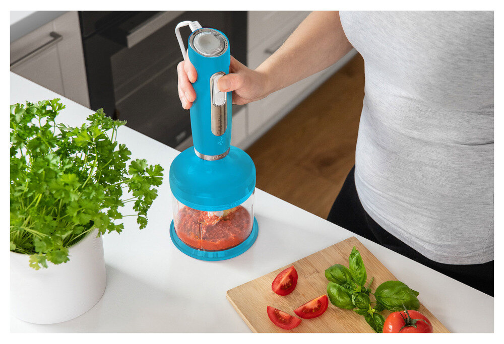 Blender kielichowy NUTRIBULLET NB606DG