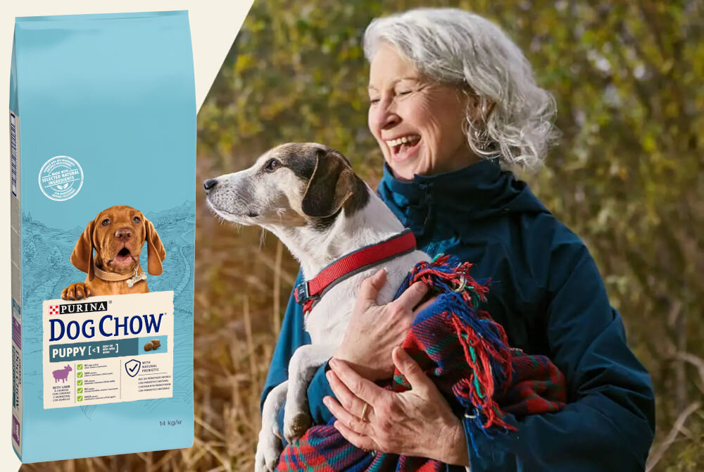 Karma dla psa PURINA Dog Chow Puppy z Jagnięciną 14 kg sklad analiza
