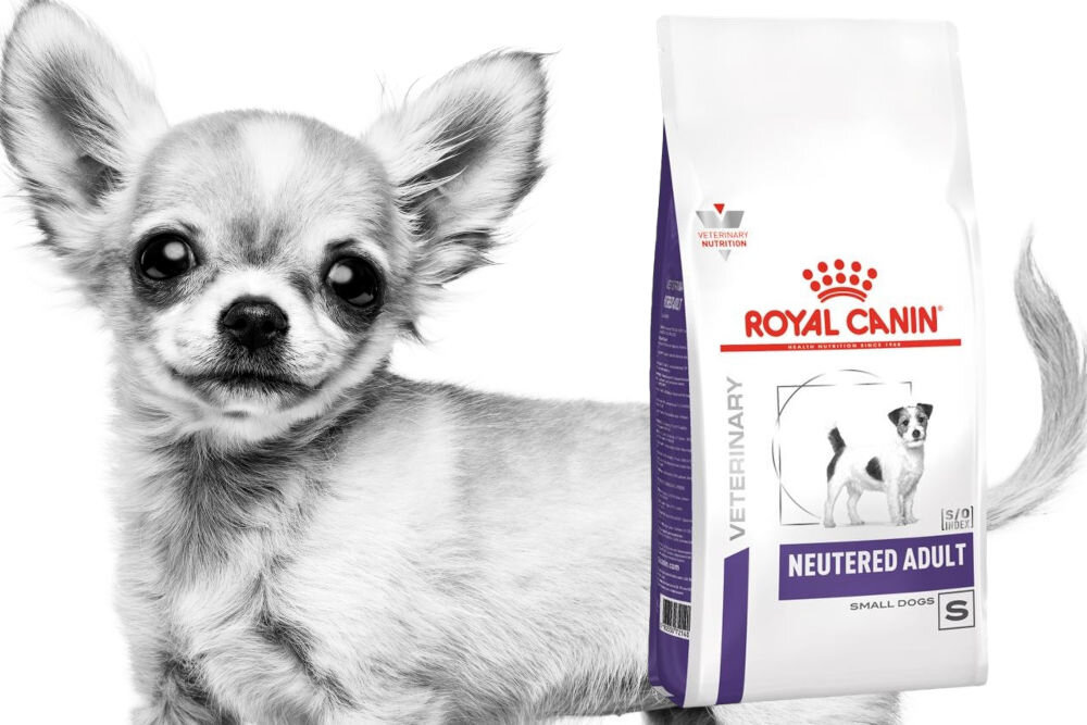 Karma dla psa ROYAL CANIN Neutered Adult 8 kg naturalne składniki