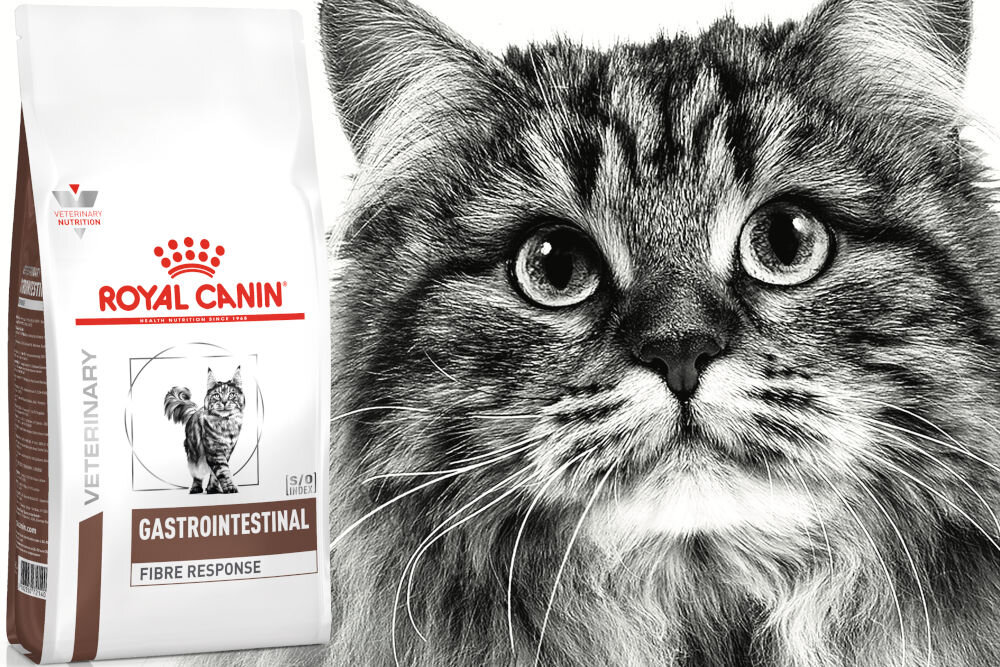 Karma dla kota ROYAL CANIN Gastrointestinal Fibre Response 2 kg naturalne składniki