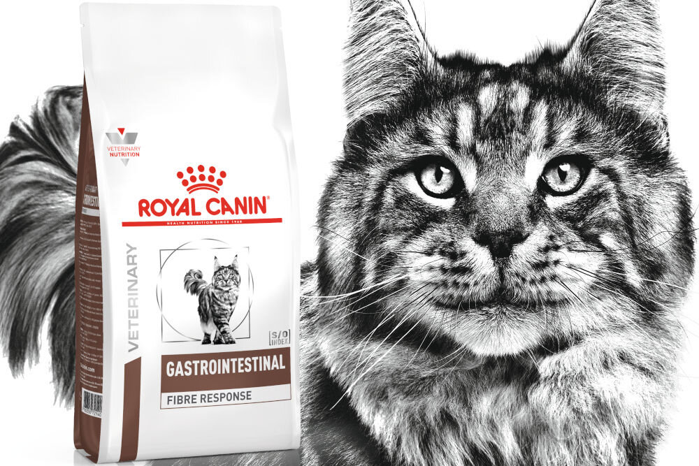 Karma dla kota ROYAL CANIN Gastrointestinal Fibre Response 2 kg dawkowanie analiza sklad
