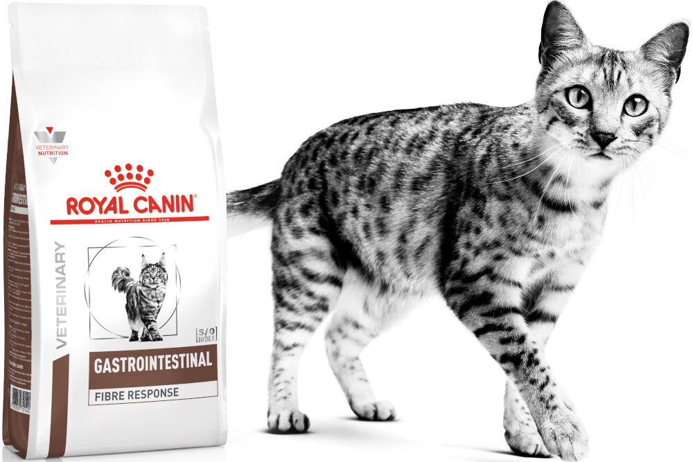 Karma dla kota ROYAL CANIN Gastrointestinal Fibre Response 2 kg witaminy pierwiastki aminokwasy