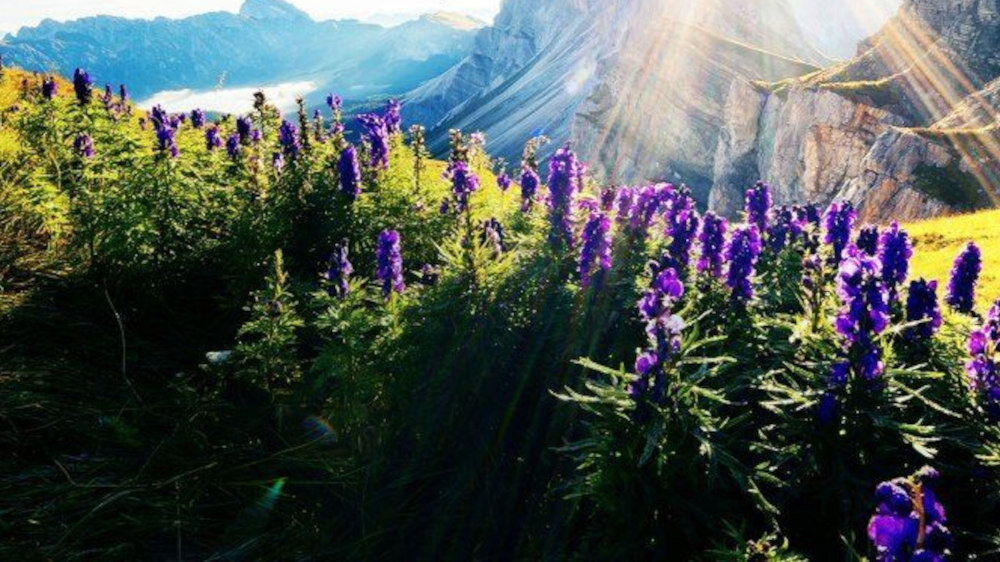 Telewizor LG UH8507 - hdr