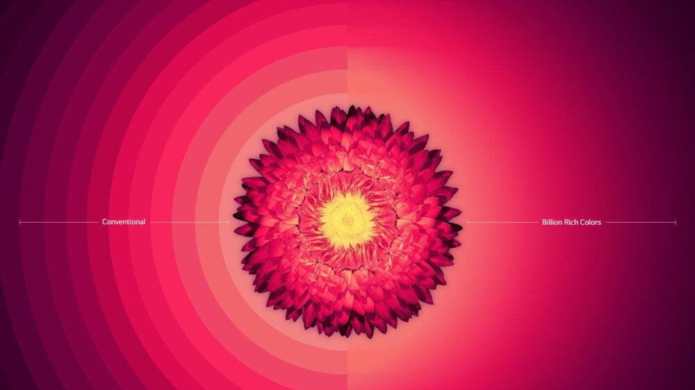 Telewizor LG UH8507  - kolory