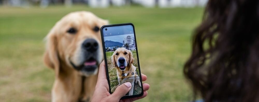 Osoba trzyma smartfon, na ekranie którego widać zdjęcie psa. W tle znajduje się pies na trawie.